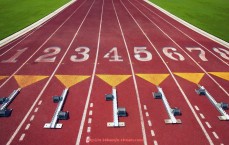 24看球直播网-黑土雄心双核驱动:从CBA到足球的东北崛起之路