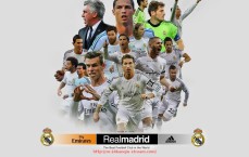 24看球直播网-四川CBA球队简介及本赛季表现汇总