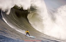 24看球直播网-中国球员杨晨曾效力过的德甲球队数量及表现全记录