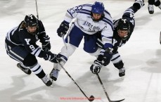 24看球直播网-德甲落寞球队现在状况如何？战绩与资金剖析