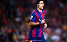 24看球直播网-小区公共健身器材的设施设计与规划建议