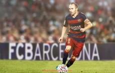 24看球直播网-2016年12轮CBA球队排名及赛季进展